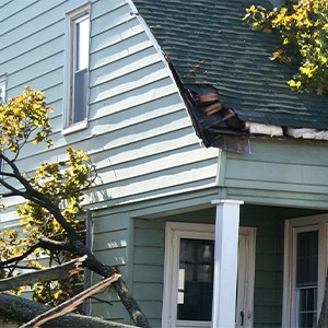 Roof damage due to fallen tree branches